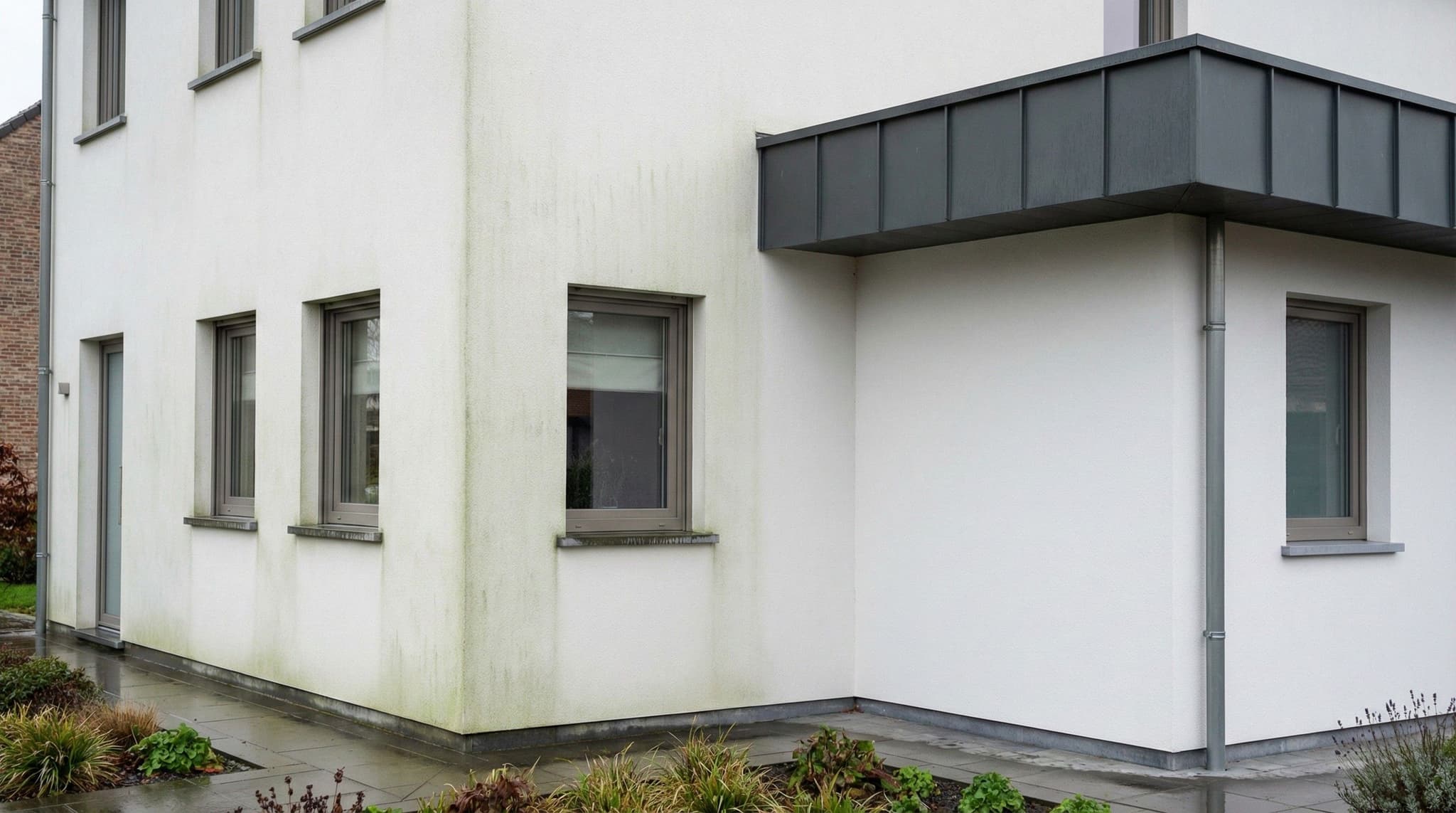 Groene aanslag op je witte gevel voorkomen: waarom het ontstaat en wat je eraan doet